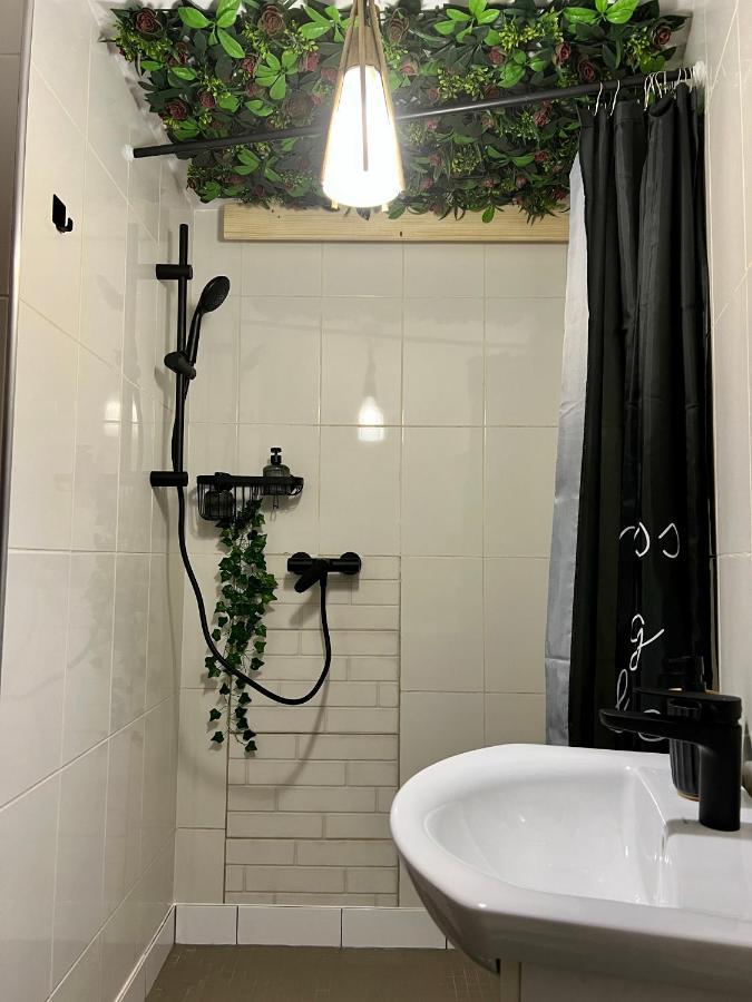 Appartement Nacada Studio By Hyco à Sighişoara Extérieur photo